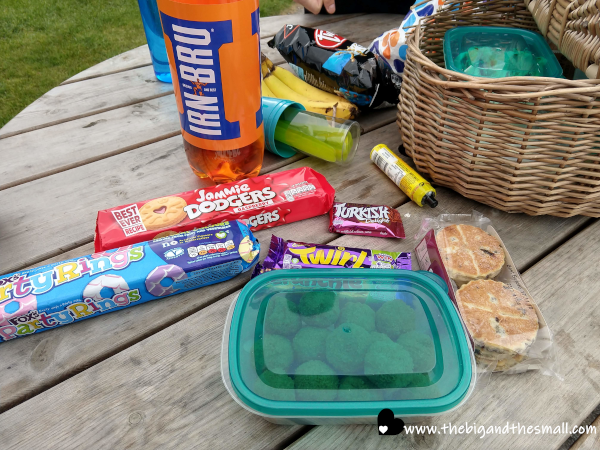 Picnic Lunch.png